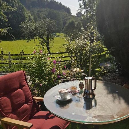 Ferienwohnung Drei Lilien Gummersbach Dış mekan fotoğraf